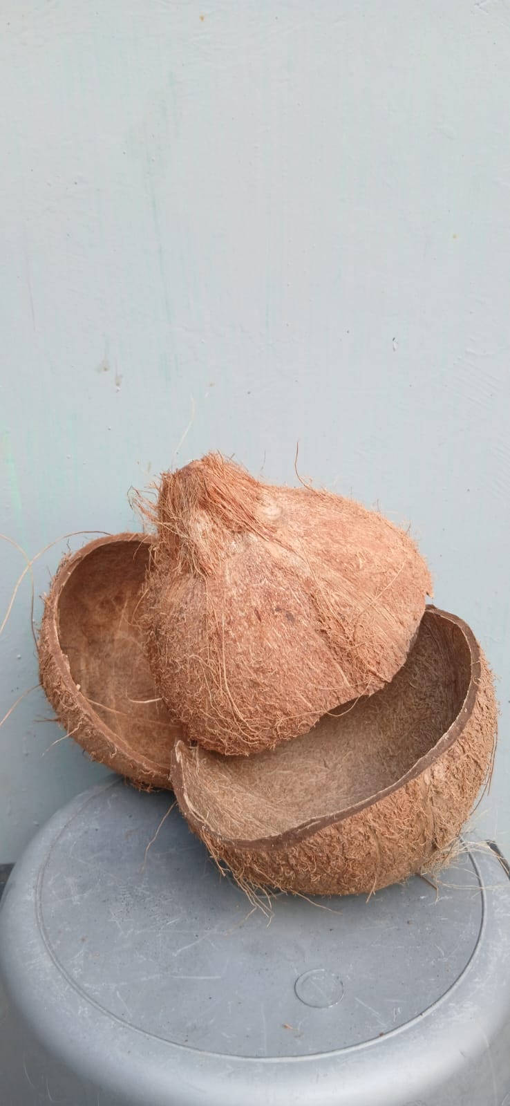 ARJO coconut charcoal production and packaging photo 5